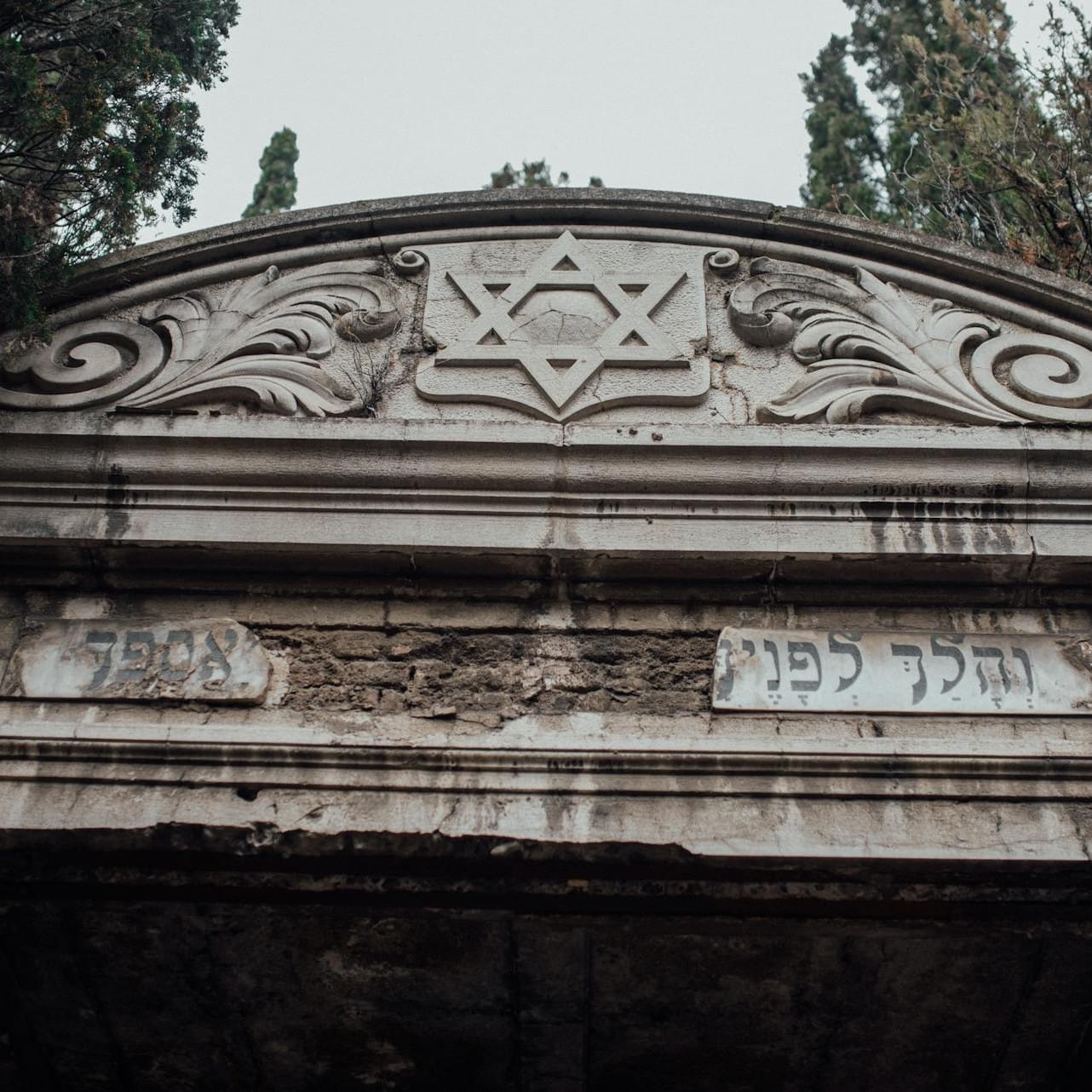 Featured image for “The Jewish Cemetary”