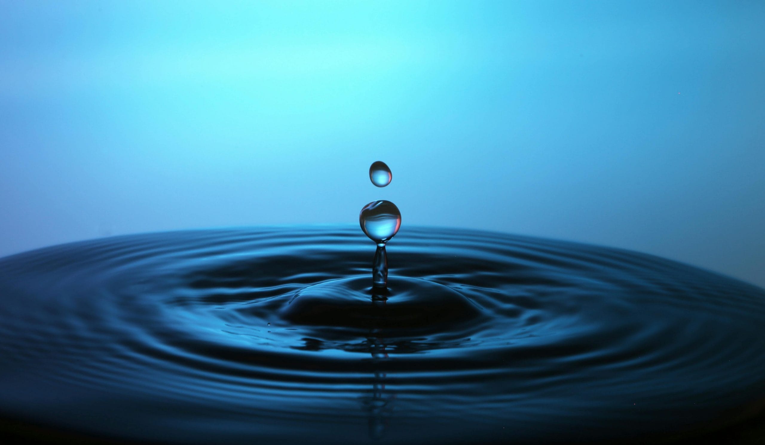 Featured image for “In this moment”