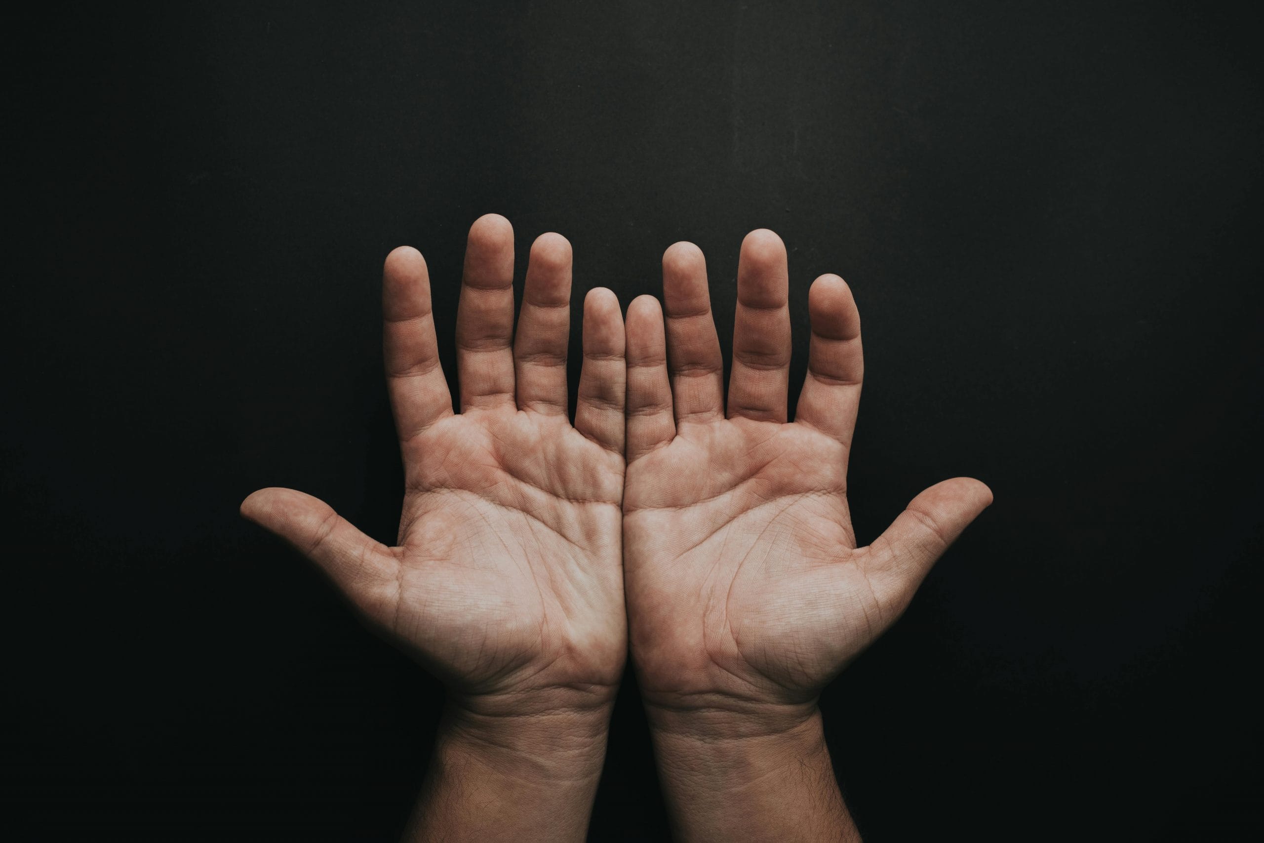 Featured image for “Gratitude”