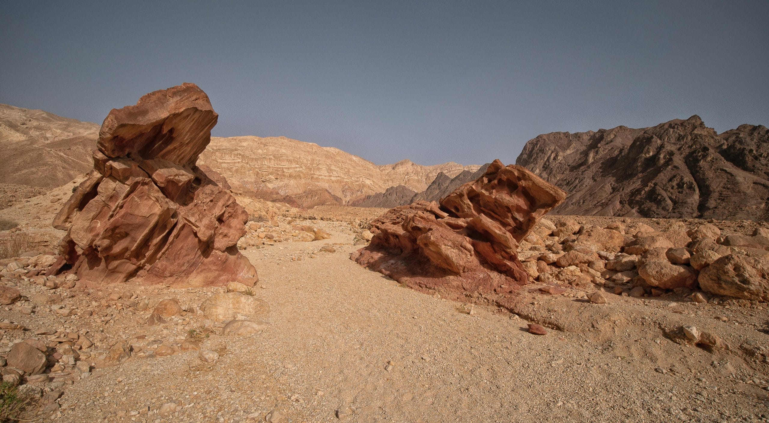 Featured image for “A Call and a Promise”