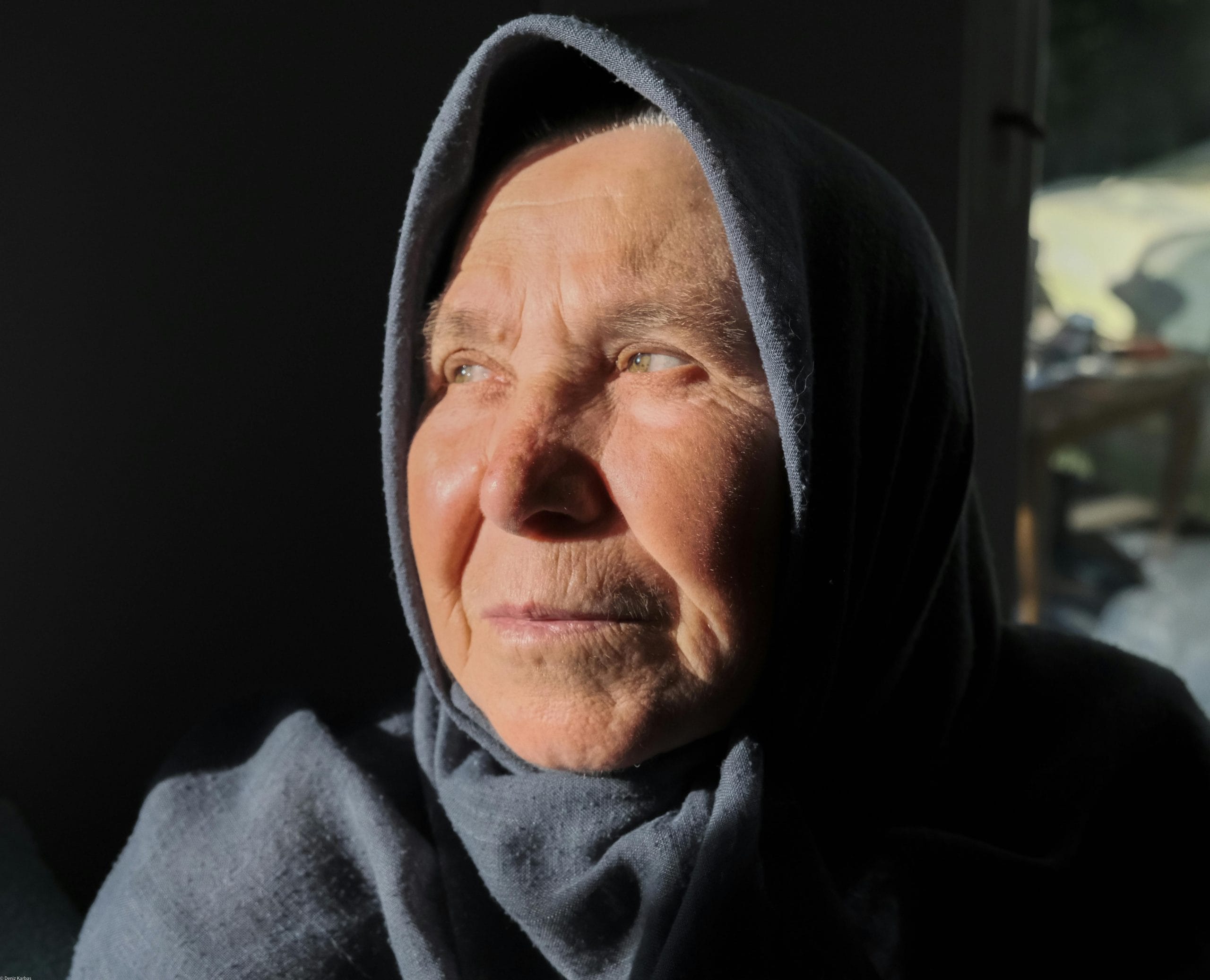 Featured image for “Wisdom”