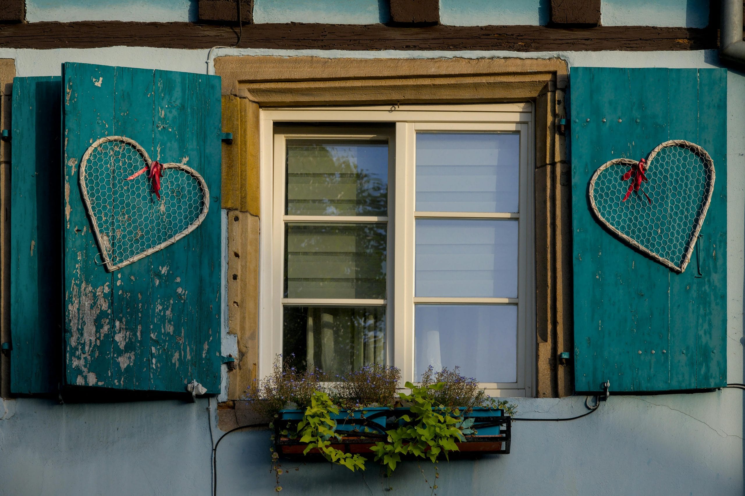 Featured image for “Hearts around the world”