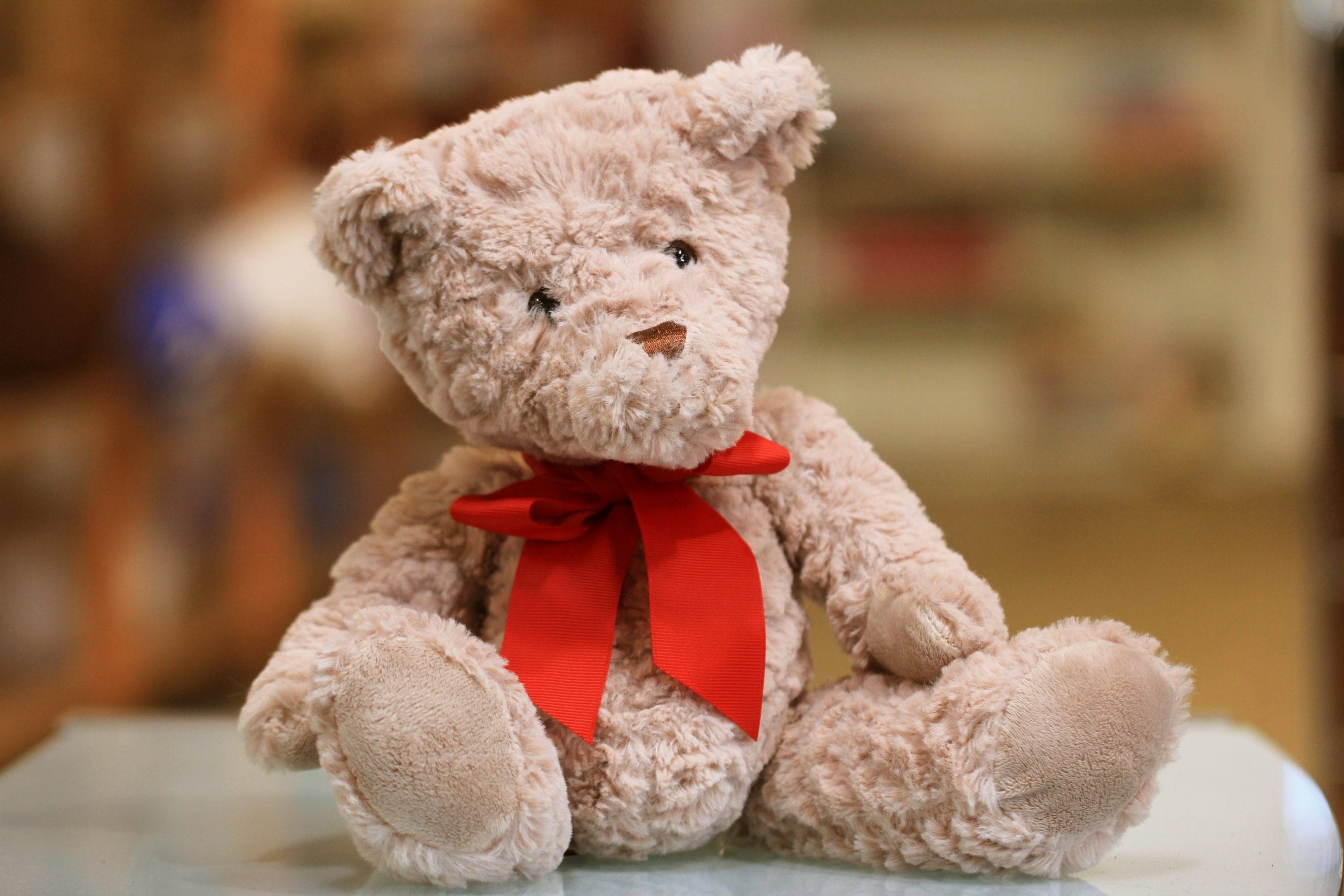 Featured image for “Date with a teddy bear (Spain)”