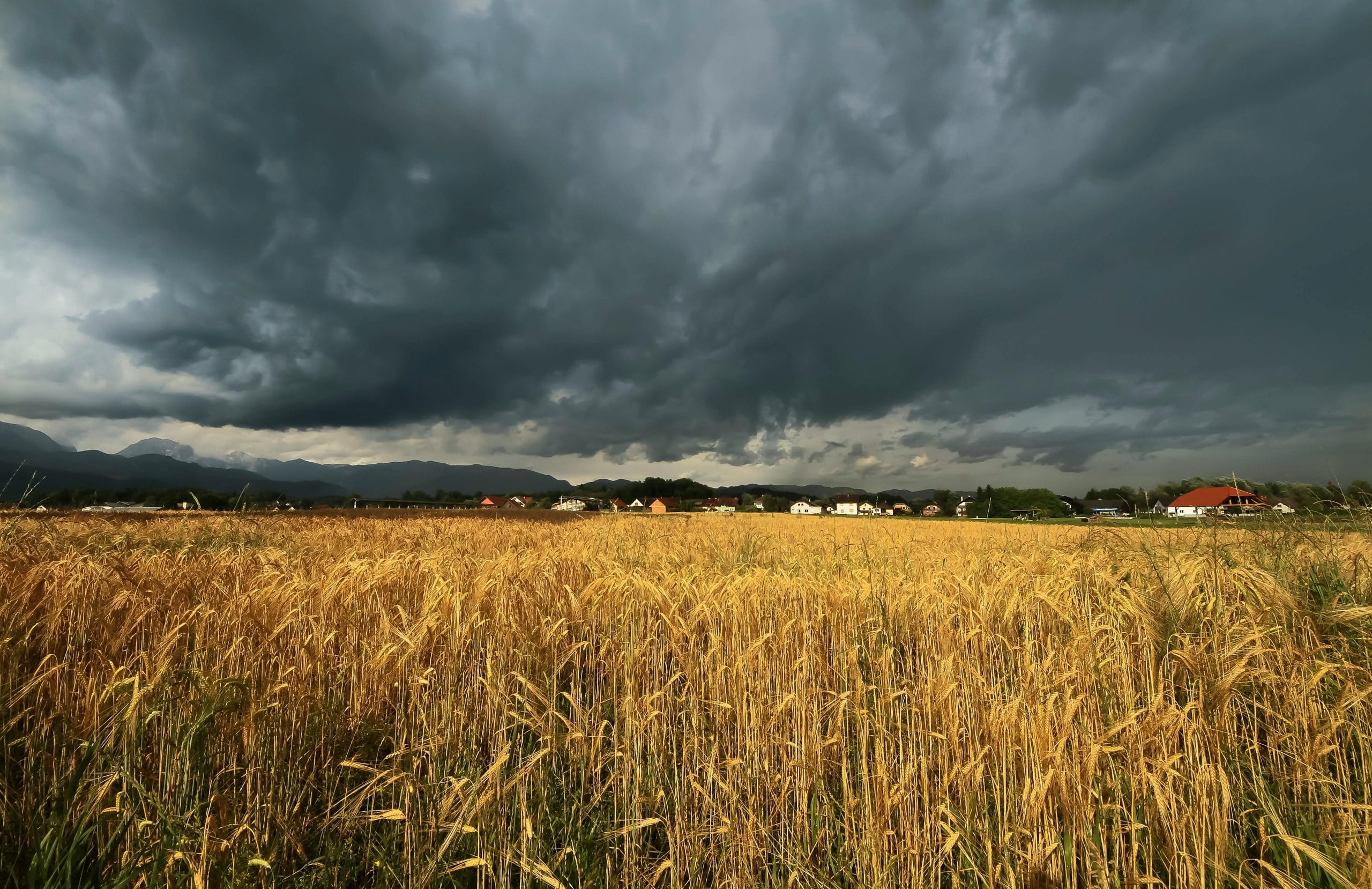 Featured image for “A Neighbor’s Care in 19th-Century Slovenia”