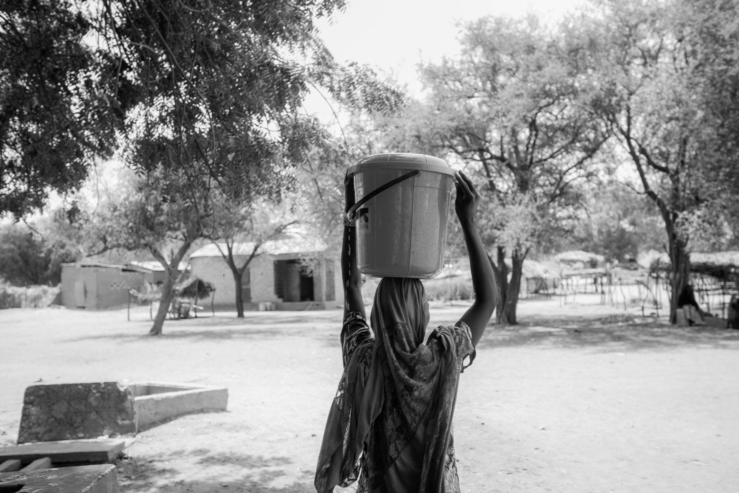 Featured image for “Buckets from Blessing”